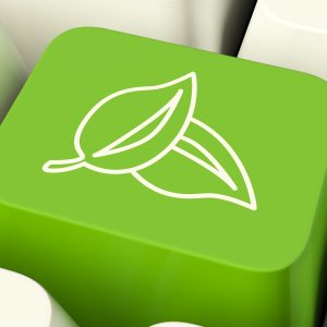 Leaves Icon Computer Key In Green Showing Recycling And Eco Friendly