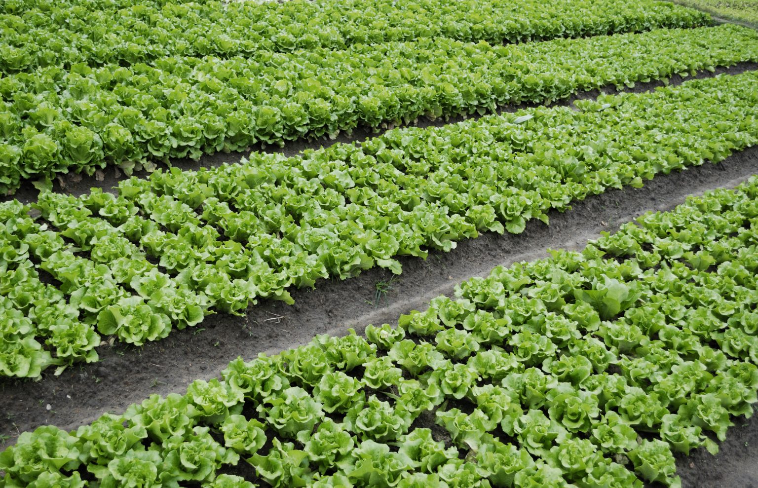 PTI Labels That Stick To Adhere Throughout The Supply Chain - Superior ...