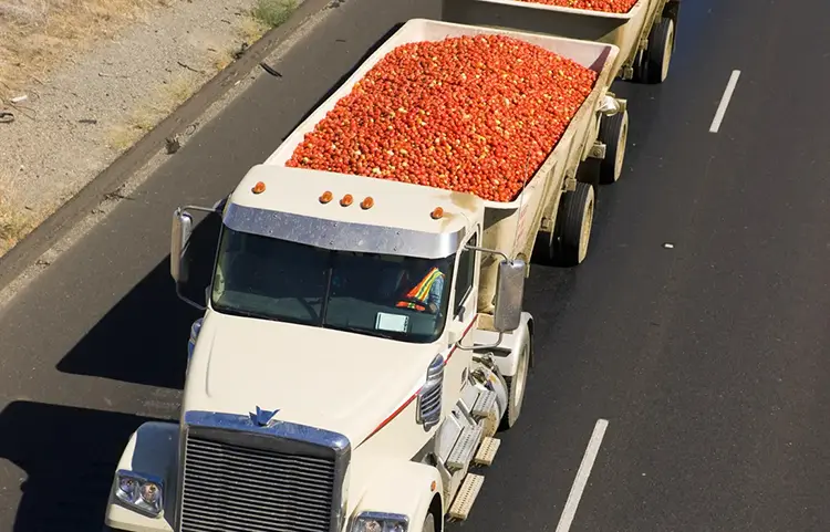 Produce Shipment Traceability