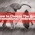 Elephant spraying water in the rain - man protecting himself with an umbrella - How to choose a promotional umbrella