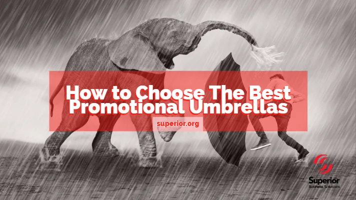 Elephant spraying water in the rain - man protecting himself with an umbrella - How to choose a promotional umbrella
