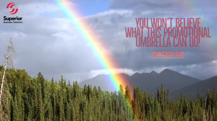 Rainbow above Forest - Umbrella