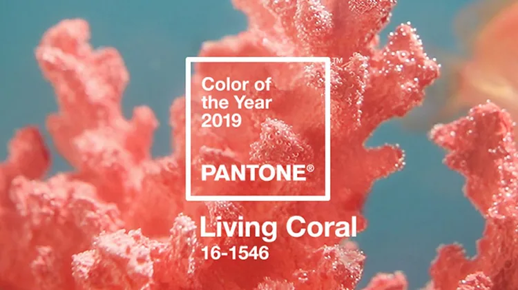Living Coral - The 2019 Pantone Color of The Year      