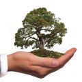 Green up your business with some Eco-Friendly Solutions