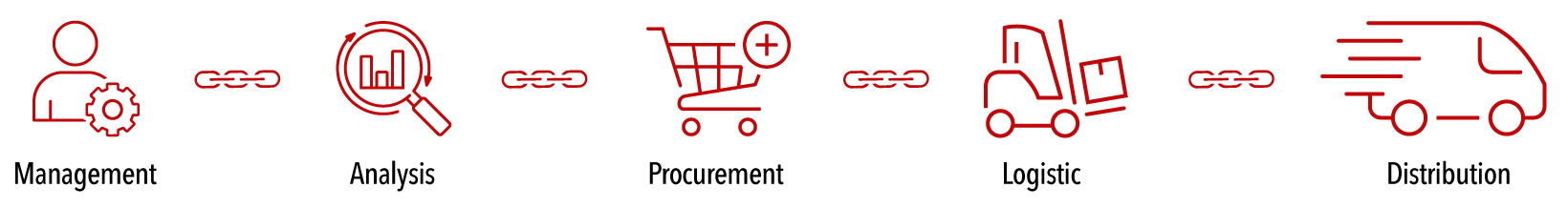 Supply Chain Organization Supply Chain Organization